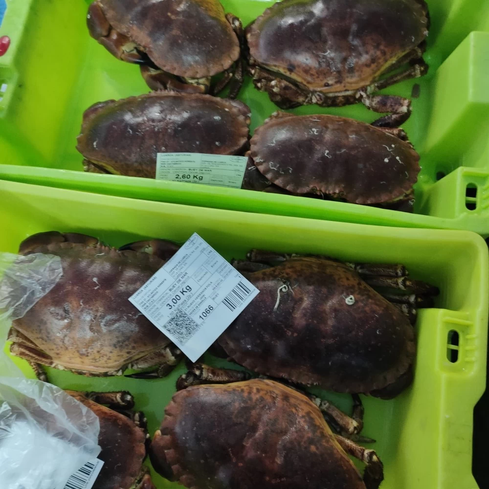 Buey de Mar Lonja del Cantábrico (pieza de 900gr)