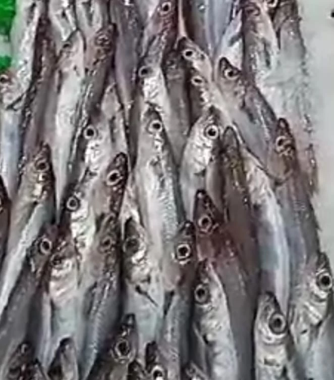 Bacalada Lonja del Cantábrico (1Kg)