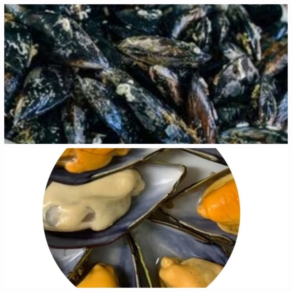 Mejillón Seleccionado Lonja del Cantábrico (500gr)