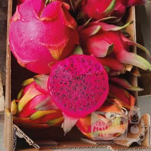 Pitayas Costa Tropical Málaga (500gr)