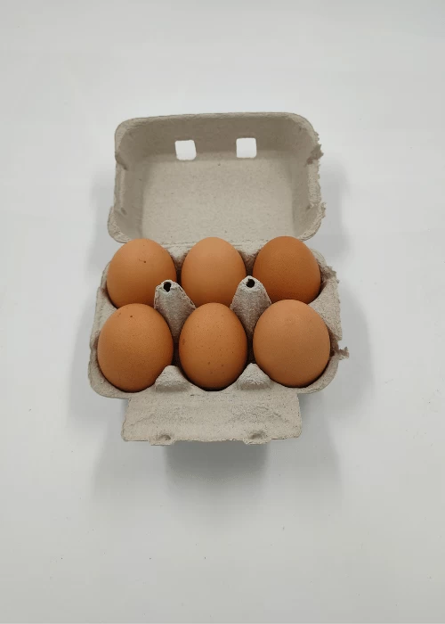 Huevos Camperos de Gallinas en Libertad (1/2 docena)