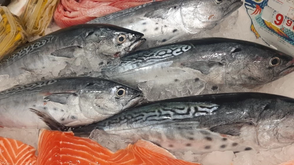 Melvas Lonja de Fuengirola (Pieza de 1Kg)