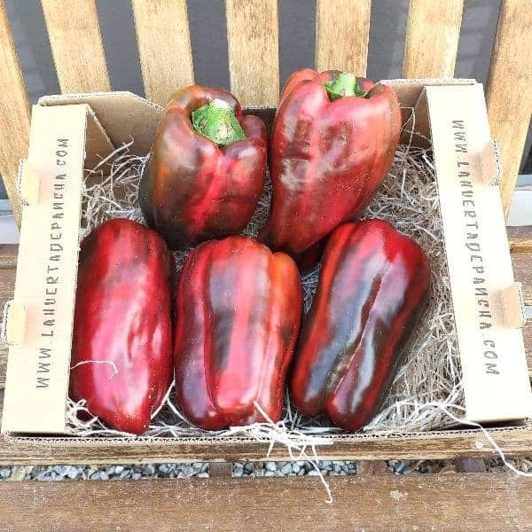 Pimiento Rojo de la Axarquía (500gr)