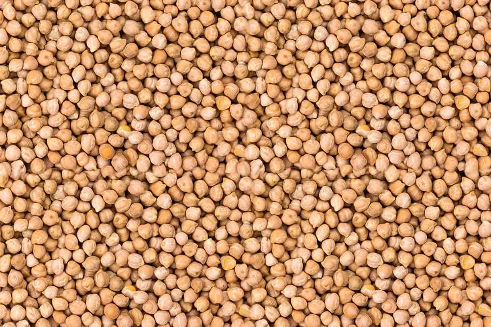 Garbanzo Pedrosillano (500gr)