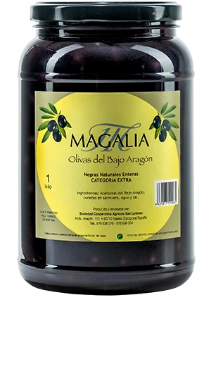 Bote Aceitunas IGP Bajo Aragón (1Kg)