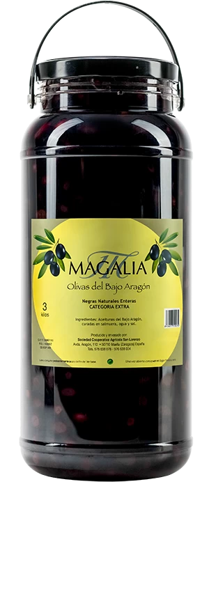Bote Aceitunas IGP Bajo Aragón (3Kg)