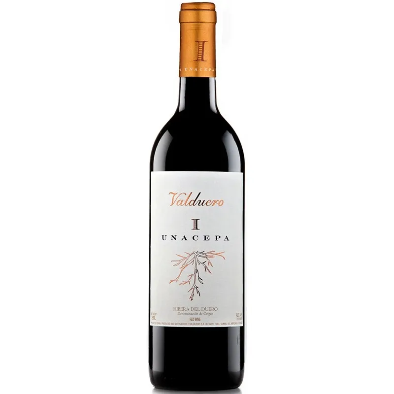 Valduero UNA CEPA 2019