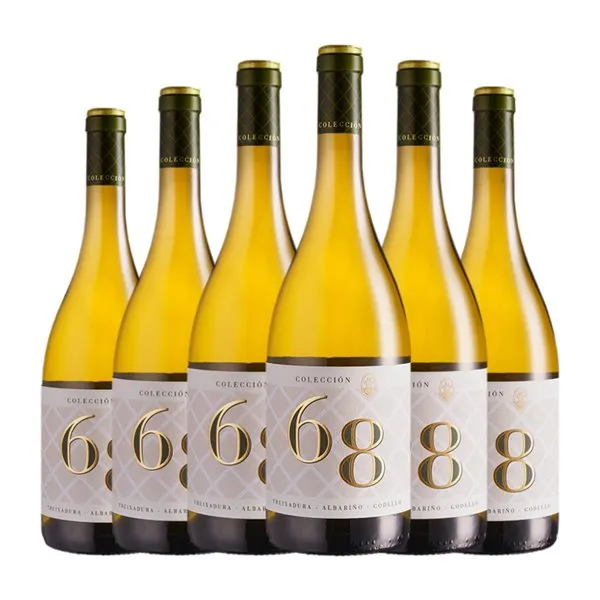 Viña Costeira 68 Ribeiro Colección 75 cl Vino Blanco (Caja de 6 unidades)