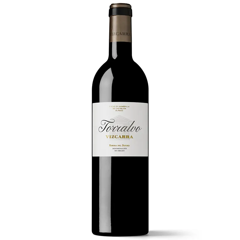 VIZCARRA TORRALVO 2021