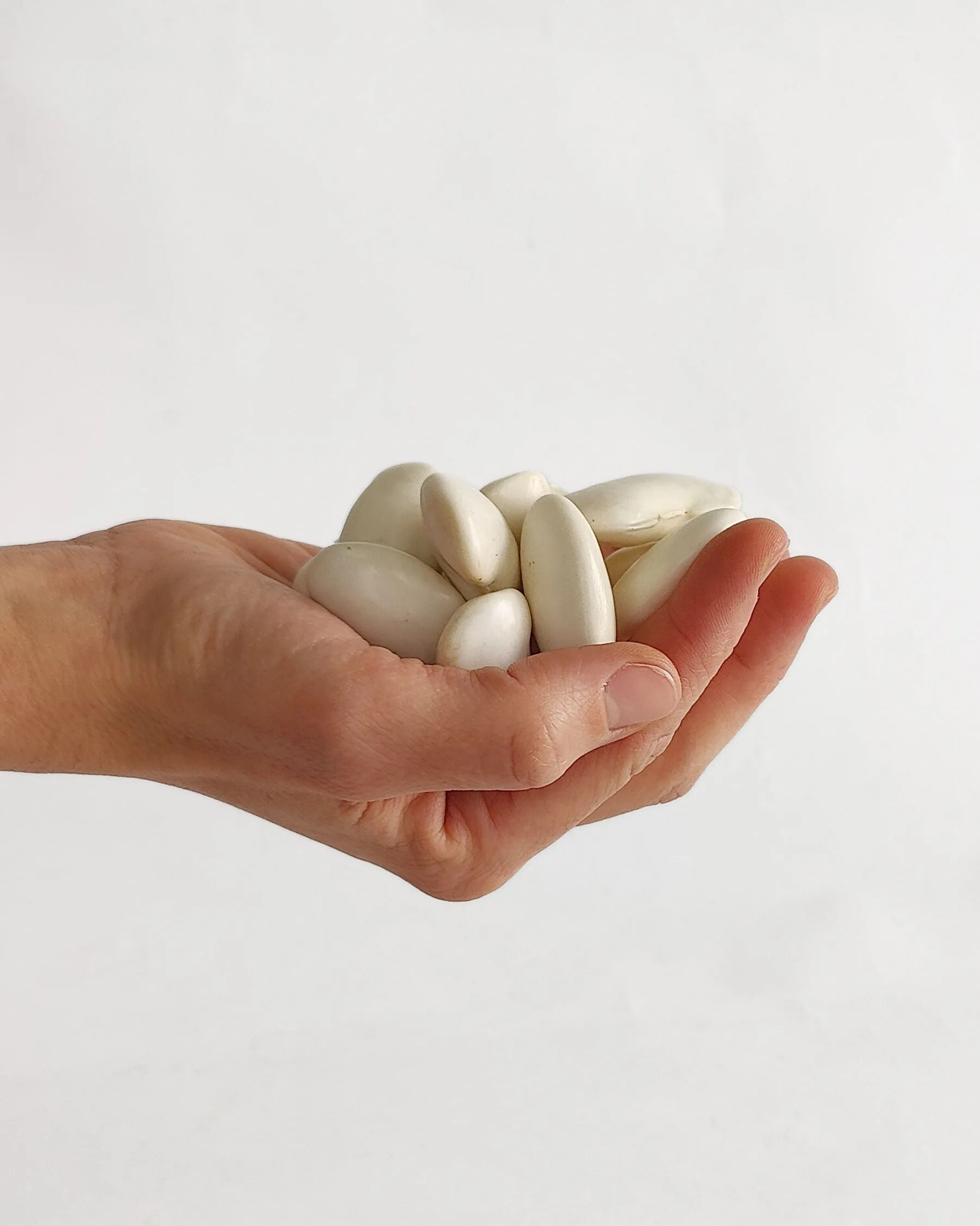 Judión fresco en verde con vaina 500 g