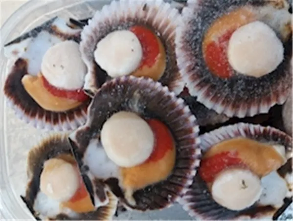 Zamburiña media concha (bolsa 1 Kg)